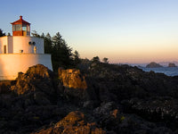 âfagasgsgasg